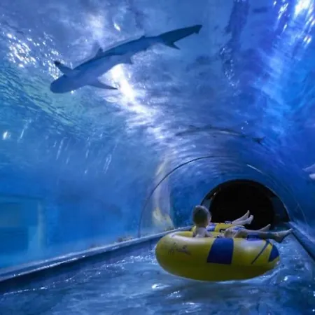 Apartament 公寓 雷达