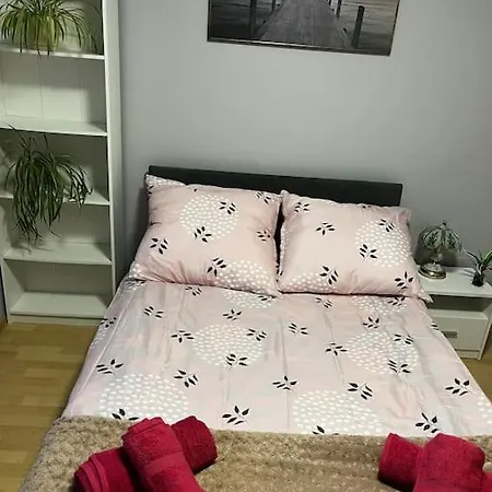 Apartament 公寓 雷达