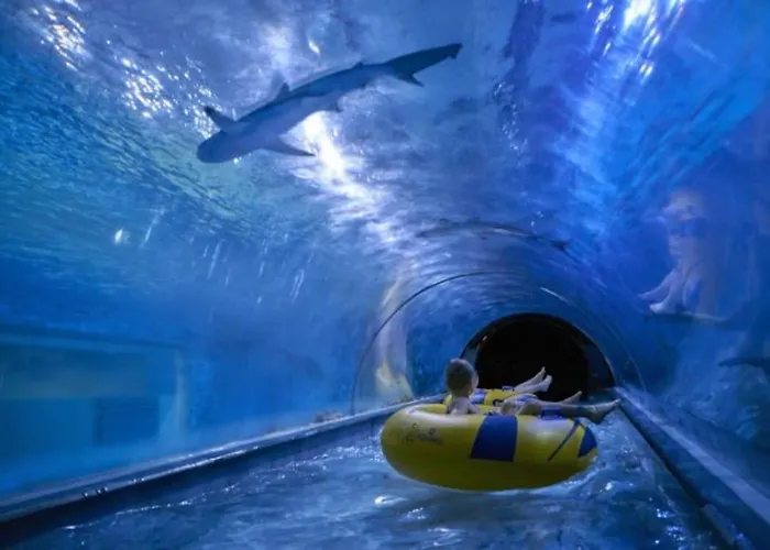 Apartament Apartment Reda